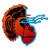 Bandsome Haboon - Website